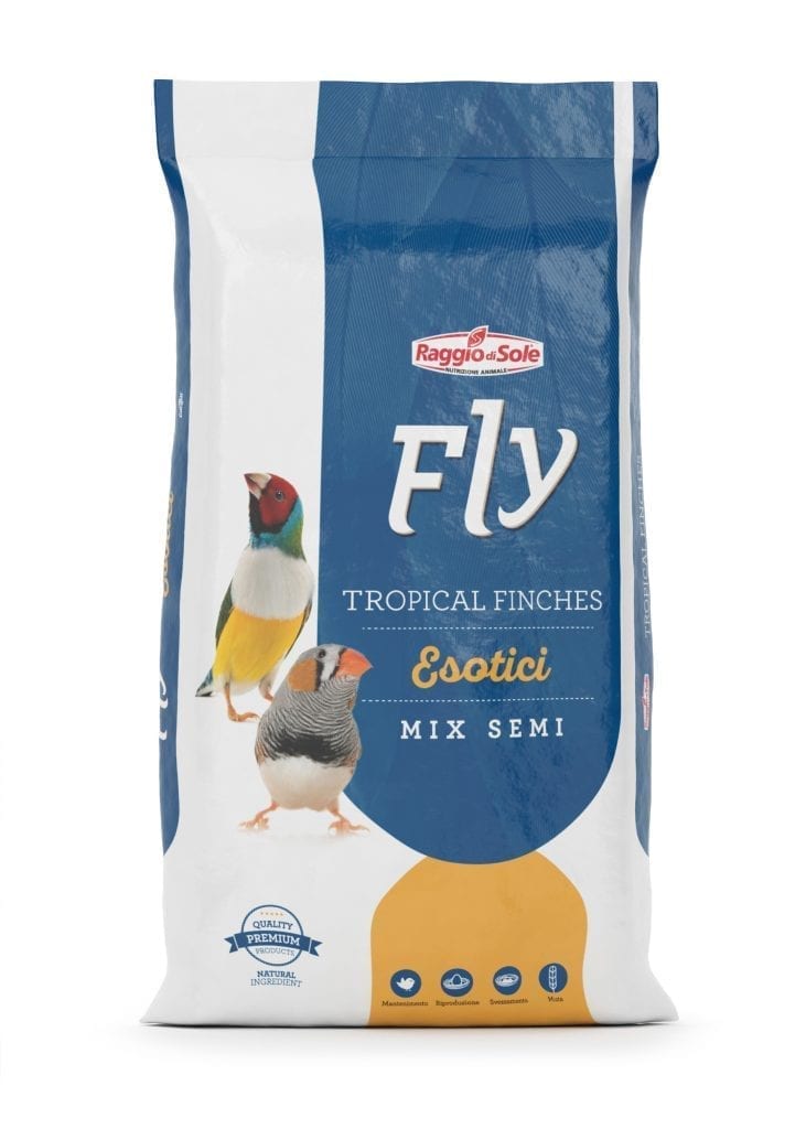 RAGGIO DI SOLE | Esotici da 25 kg