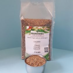 MANITOBA | Cicoria (confezione da 1 kg)