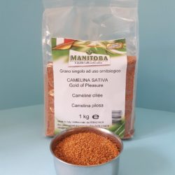MANITOBA | Camelina sativa (confezione da 1 kg)