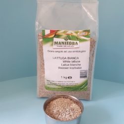 MANITOBA | Lattuga bianca germinabile certificata (confezione da 1 kg)