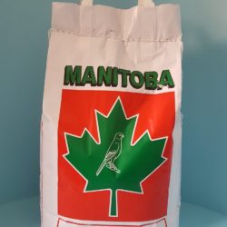 MANITOBA | T3 Platino canarini (confezione da 5 kg)