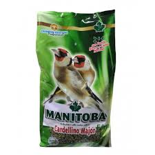 MANITOBA | Cardellino major ( Confezione da 2,5 kg )