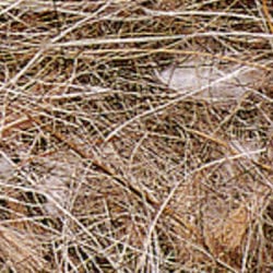 SISAL FIBRE | Pelo animale e vegetale ( Confezione da 500 gr )
