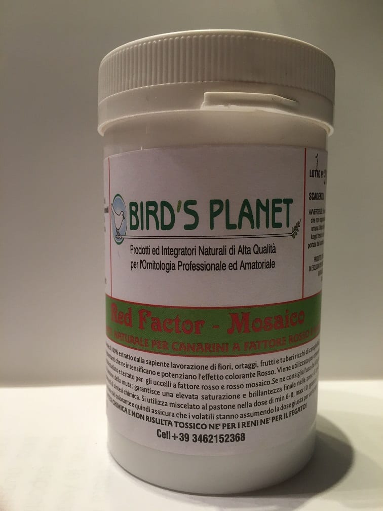 BIRD'S PLANET | Red Factor Mosaico ( confezione da 100 gr )