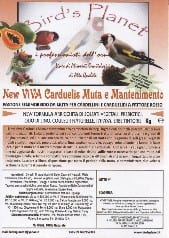 BIRD'S PLANET | Viva Carduelis ( Confezione da 1 kg )