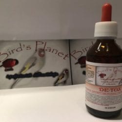 BIRD'S PLANET | De-Tox 48h ( confezione da 100 ml )